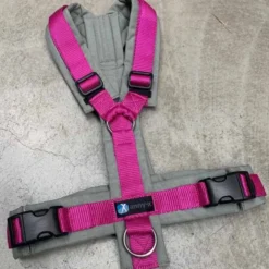 Anny-x Brustgeschirr Fun, grau/pink
