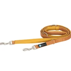 Anny-x Führleine Classic Bolt Fun, 3m, Goldglöckchen