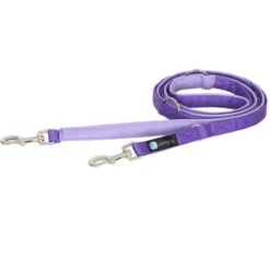 Anny-x Führleine Classic Bolt Fun, 3m, Lavendel