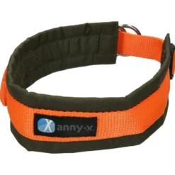 Anny-x Zugstopphalsband Fun, oliv/orange