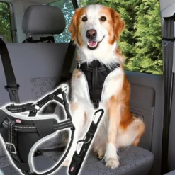 Auto-Geschirr Comfort, schwarz
