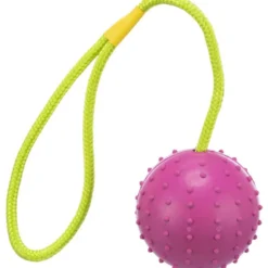 Ball am Seil, Naturgummi, 7 cm/30 cm