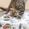 Cat Activity Paws n Treats Box, 35x7x20 cm