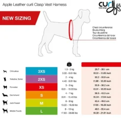Curli Geschirr Apple Leather, schwarz