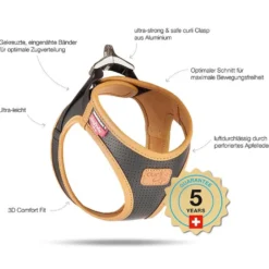 Curli Geschirr Apple Leather, schwarz