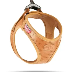 Curli Geschirr Apple Leather, braun