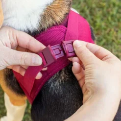 Curli Geschirr Vest Air-Mesh Clasp, rot
