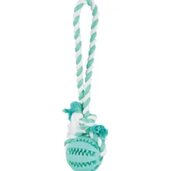 Denta Fun Ball am Tau, Mintfresh, Naturgummi, 7cm/24cm