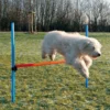 Dog Activity Agility Hürde, 123x115x3 cm, blau/orange