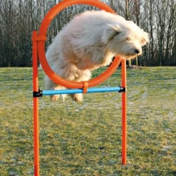 Dog Activity Agility Ring, 115x3 cm, 78 cm, orange