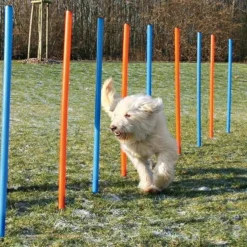 Dog Activity Agility Slalom, 115x3 cm, 12St., blau/orange