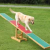 Dog Activity Agility Wippe, 300x54x34 cm, bis 80 kg