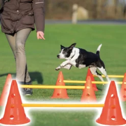 Dog Activity Hindernis Set, Kunststoff