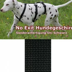Feltmann Kreuzgeschirr NoExit, uni schwarz