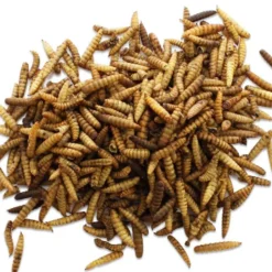 Futterfreund Hermetia-Larven 500g