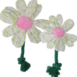 Garden Paws Flower Spring Sakura