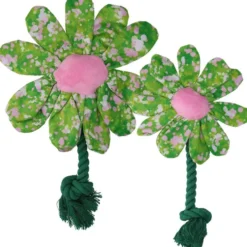 Garden Paws Flower Summer Shrubs