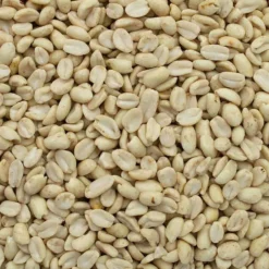GEVO Erdnusskerne, weiß blanchiert 1 kg