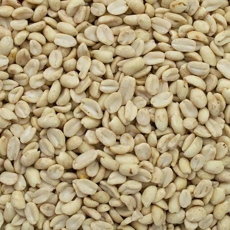 GEVO Erdnusskerne, weiß blanchiert 2,5 kg