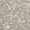 GEVO Streufutter 2,5 kg