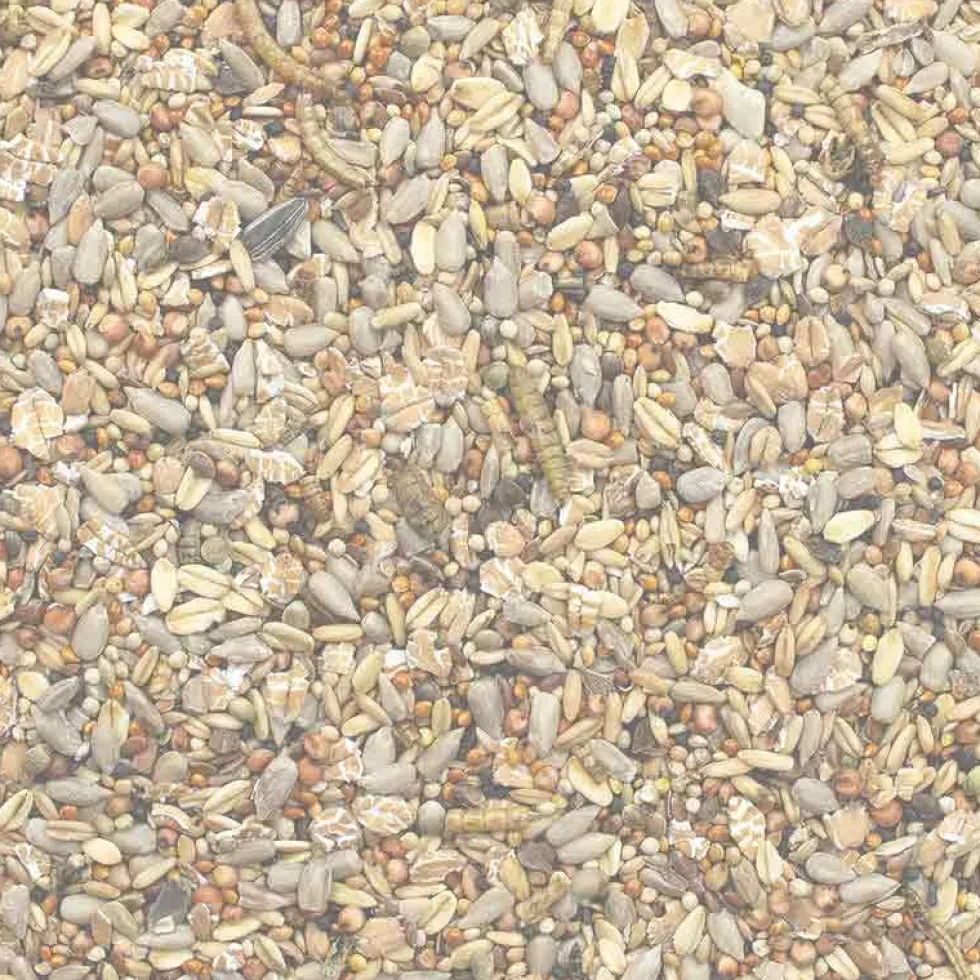 GEVO Wildvogelfutter mit Insekten 2,5 kg