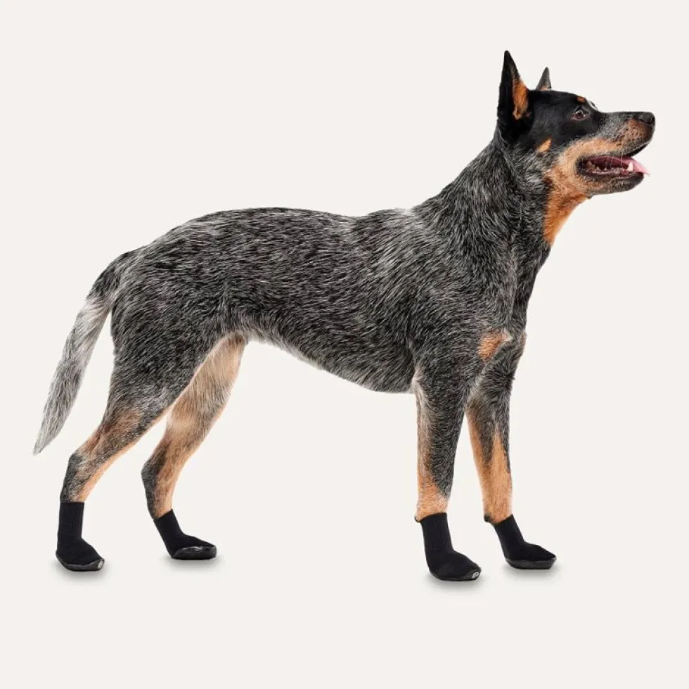 Goo-eez Dog Boots Ultras, 2 Stück, schwarz