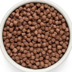 Grandorf Fresh Adult Mini Frisches Lamm