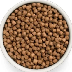 Grandorf Fresh Puppy Frisches Lamm