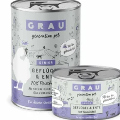 Grau Hund Senior Geflügel und Ente
