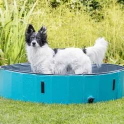 Hundepool