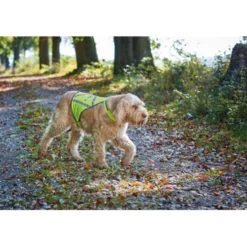 Hunter Warnweste für Hunde