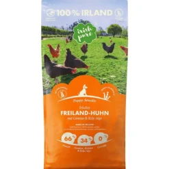 Irish Pure Irisches Freiland-Huhn Puppy