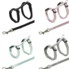 Kätzchengarnitur, Kätzchen/kleine Katzen, Nylon