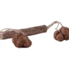 Petlando Earthcat Silvervine Kaustab