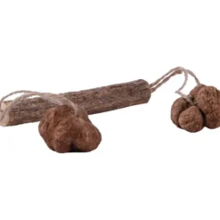 Petlando Earthcat Silvervine Kaustab