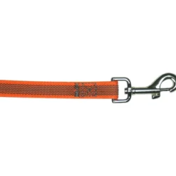 Petlando Gummierte Schleppleine, orange