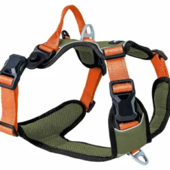 Petlando Magnetech Geschirr, olive/orange