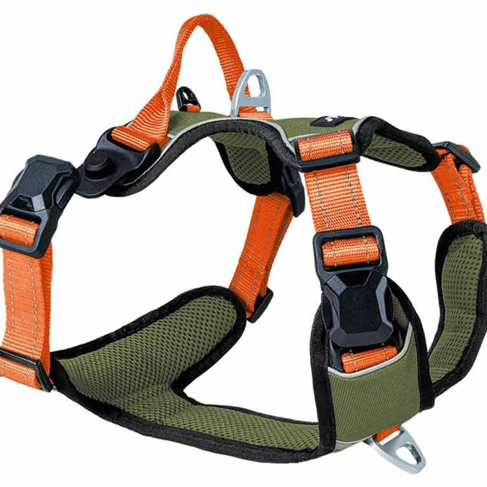 Petlando Magnetech Geschirr, olive/orange