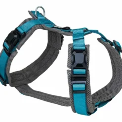 Petlando Magnetech Y-Comfort Geschirr, anthrazit/petrol