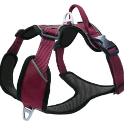 Petlando Outdoor Geschirr, berry
