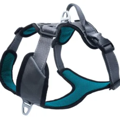 Petlando Outdoor Geschirr, petrol
