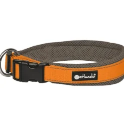 Petlando Outdoor Halsband, orange