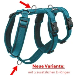 Petlando Sicherheitsgeschirr, petrol