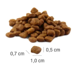 Platinum Katze MeatCrisp Adult Fish