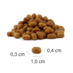 Platinum Katze MeatCrisp Kitten Chicken