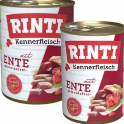 RINTI Ente