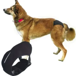 Schutzhöschen Deluxe, schwarz