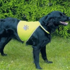 Sicherheitsweste für Hunde