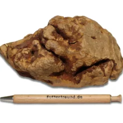 Torgas Kauwurzel - 1 Stück Größe M