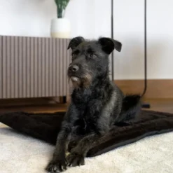TrendPet Harmony Flex, braun